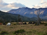 Patagonie 2014