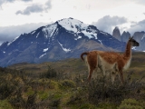 Patagonie 2014