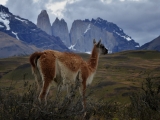 Patagonie 2014