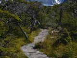 Patagonie 2014