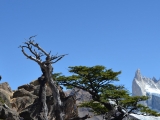 Patagonie 2014