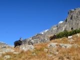 Vysoké Tatry 2014