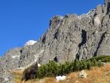 Vysoké Tatry 2014