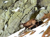 Vysoké Tatry 2014