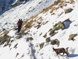 Vysoké Tatry 2014