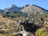 Vysoké Tatry 2014
