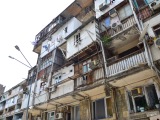 krz_1295