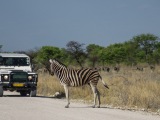 Namibia 2015