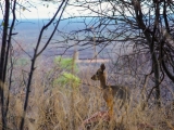 Namibia 2015