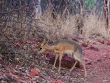 Namibia 2015