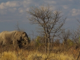 Namibia 2015