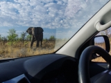 Namibia 2015