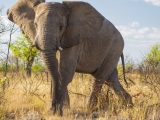 Namibia 2015