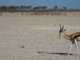 Namibia 2015