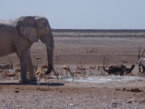 Namibia 2015