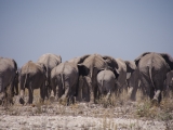 Namibia 2015