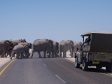 Namibia 2015