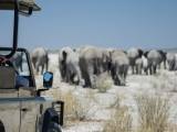Namibia 2015