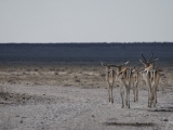 Namibia 2015