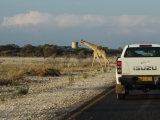 Namibia 2015