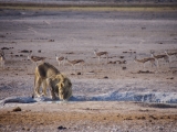 Namibia 2015