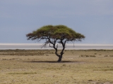 Namibia 2015