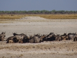 Namibia 2015