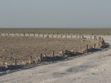 Namibia 2015