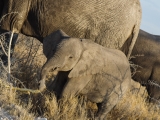 Namibia 2015