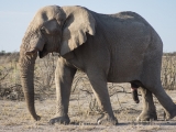 Namibia 2015
