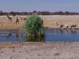 Namibia 2015