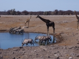 Namibia 2015