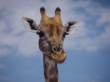 Namibia 2015