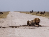 Namibia 2015