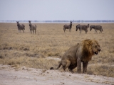 Namibia 2015