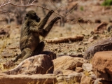 Namibia 2015