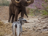 Namibia 2015