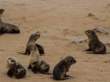 Namibia 2015