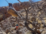 Namibia 2015
