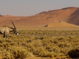 Namibia 2015