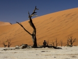Namibia 2015