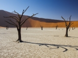 Namibia 2015