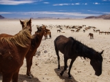 Namibia 2015