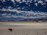 Namibia 2015