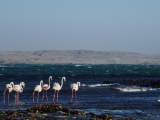 Namibia 2015