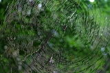 Malajsie_058