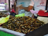 Myanmar_069