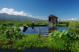 Myanmar_267
