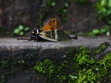 Vietnam_018