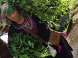 Vietnam_026